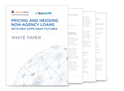 WP_Pricing and Non-Agency Hedging_TN-2