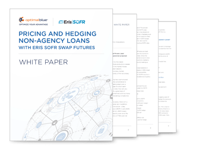 WP_Pricing and Non-Agency Hedging_TN-2